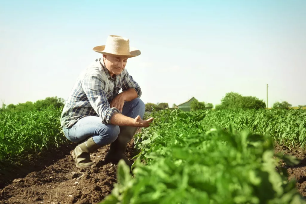 A man in a cowboy hat kneeling in a field, thinking about the improvements he will carry out thanks to a DEFRA grant.