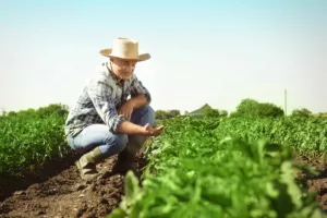 A man in a cowboy hat kneeling in a field, thinking about the improvements he will carry out thanks to a DEFRA grant.